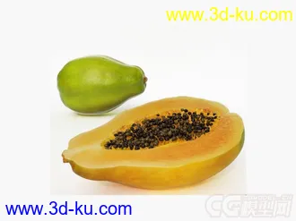 木瓜模型的图片