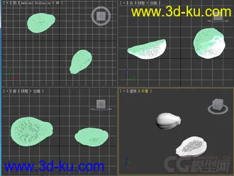 木瓜模型的图片