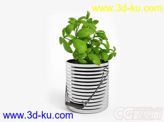 青菜模型的图片