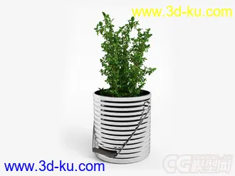 青菜模型2的图片