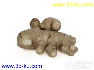 生姜模型的图片