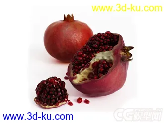 石榴模型的图片
