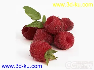 水果越梅模型的图片