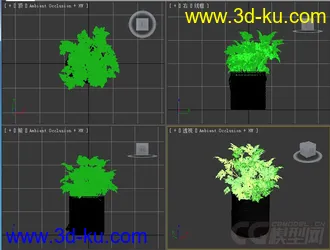 香菜模型的图片