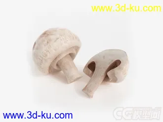 香菇模型的图片