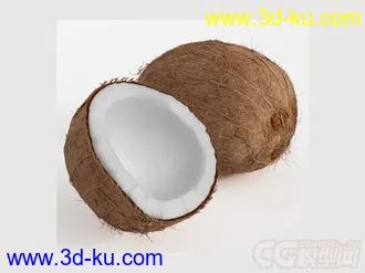 椰子模型的图片