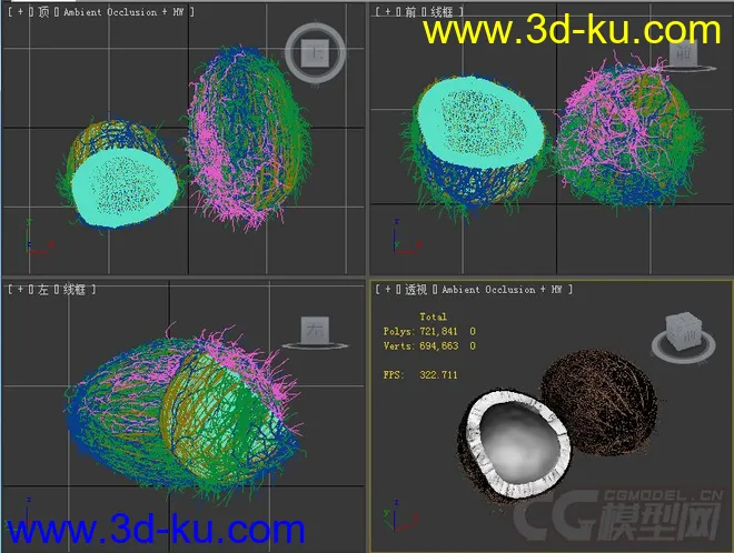 椰子模型的图片2
