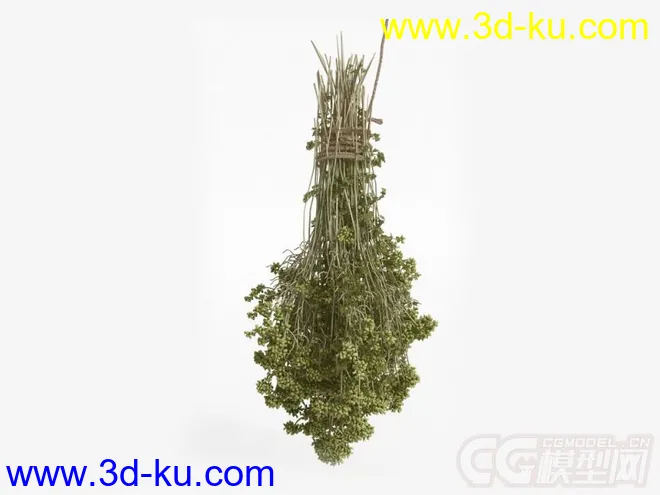 一把菜模型的图片1