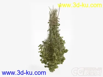 一把菜模型的图片