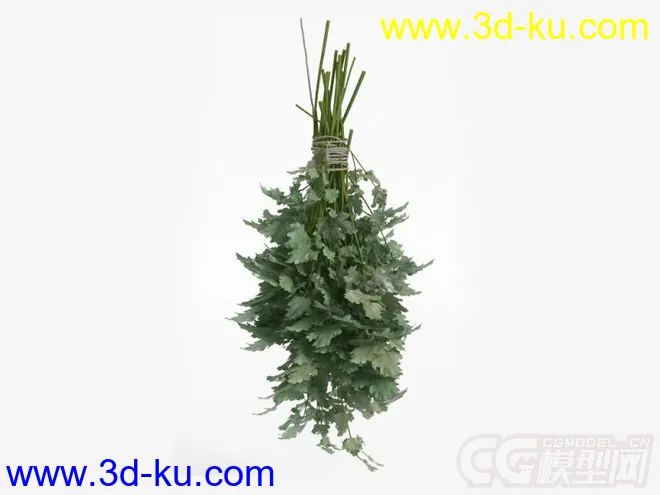 一把香菜模型的图片1