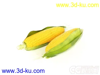 玉米模型的图片