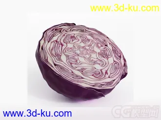 紫甘蓝模型的图片
