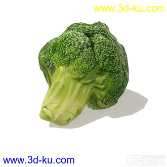 3D打印模型西兰花的图片