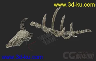 3D打印模型兽骨的图片