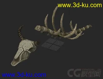 3D打印模型兽骨的图片