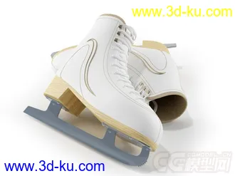 溜冰鞋模型的图片