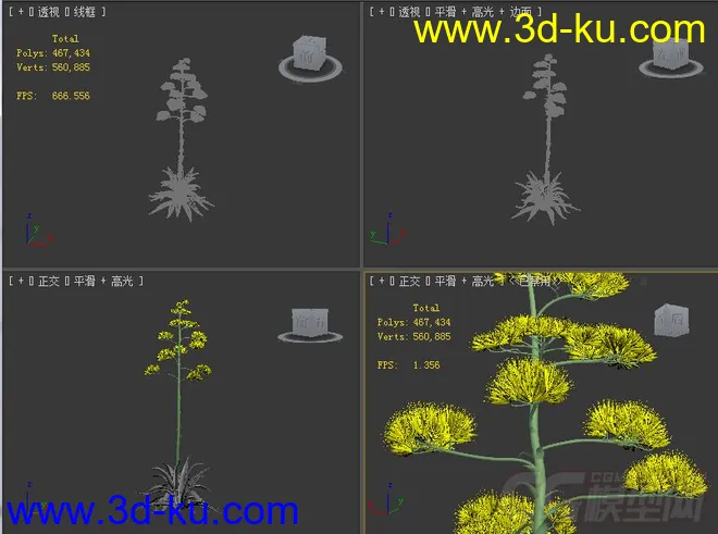 agave_americana龙舌兰花模型的图片2