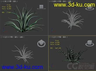agave_vilmoriniana龙舌兰花草模型的图片