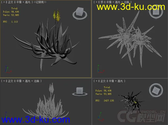 aloe_vera芦荟模型的图片2