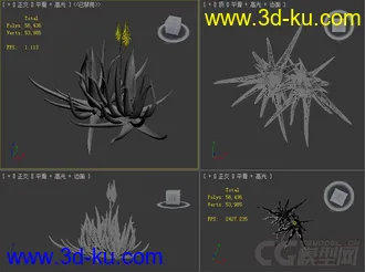 aloe_vera芦荟模型的图片