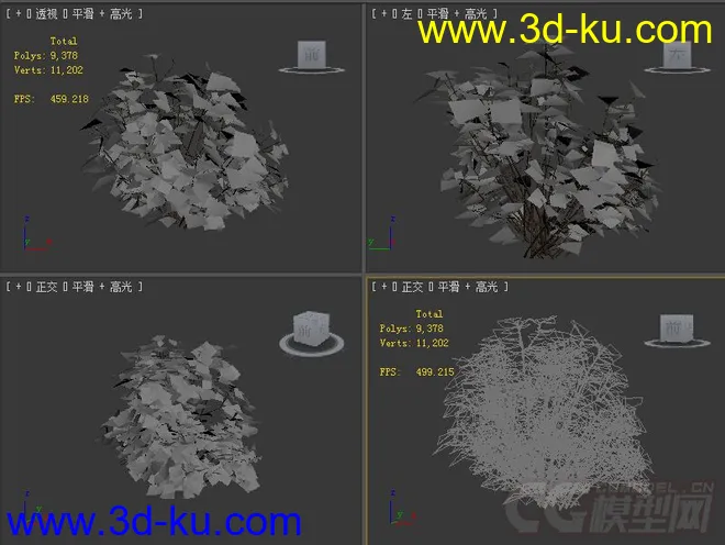 ficus_carica无花果植物模型的图片2