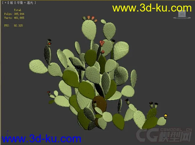 opuntia_ficus-indica仙人掌果模型的图片2