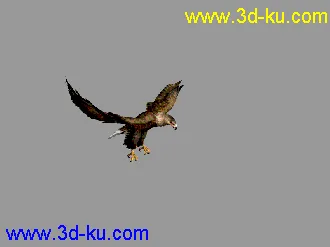 3D打印模型老鹰--- 写实逼真带各种动作的图片