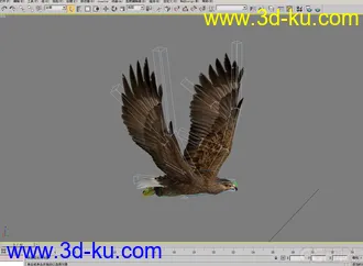 3D打印模型老鹰--- 写实逼真带各种动作的图片
