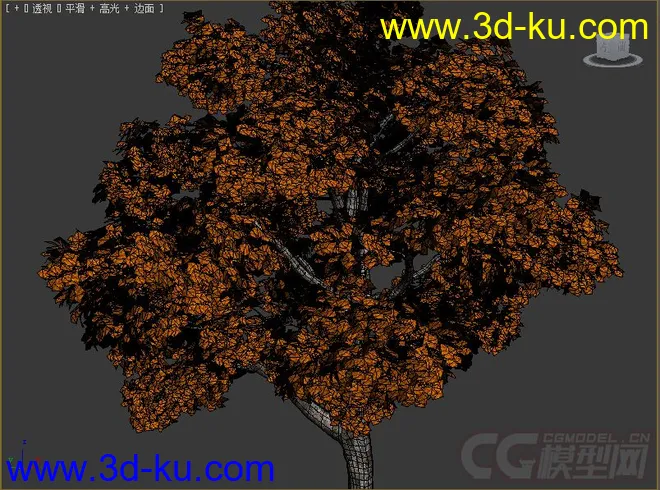 platanus_autumn悬铃木树模型的图片2