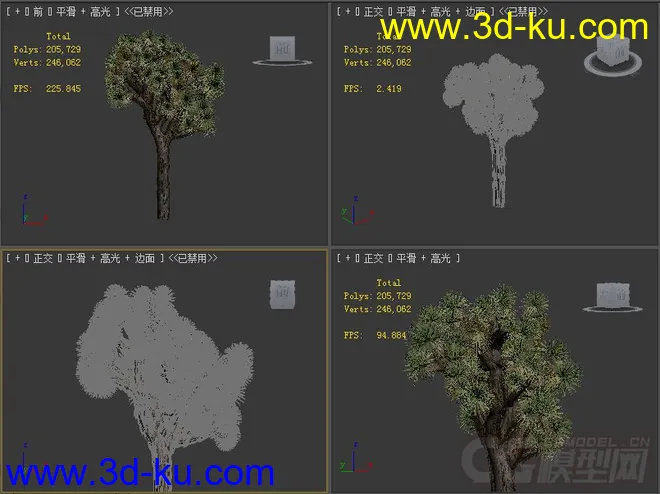 yucca brevifolia约书亚树模型的图片2