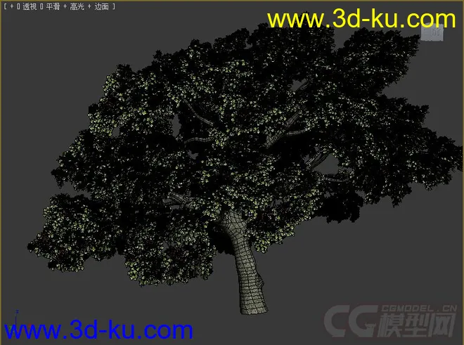 刺桐灌木模型的图片2