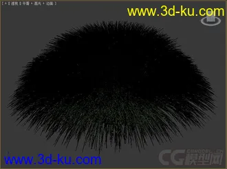 大丛乱子草;大丛鹿草模型的图片