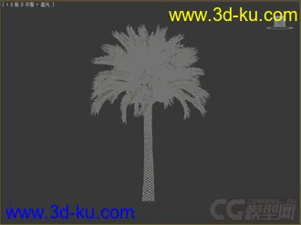 海枣;枣椰树模型的图片