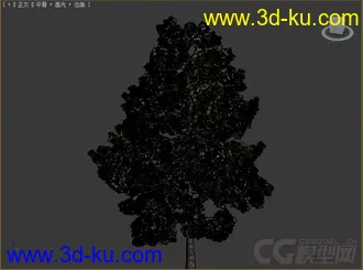 火炬松树模型的图片