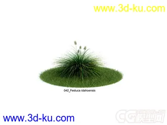 茅草模型的图片