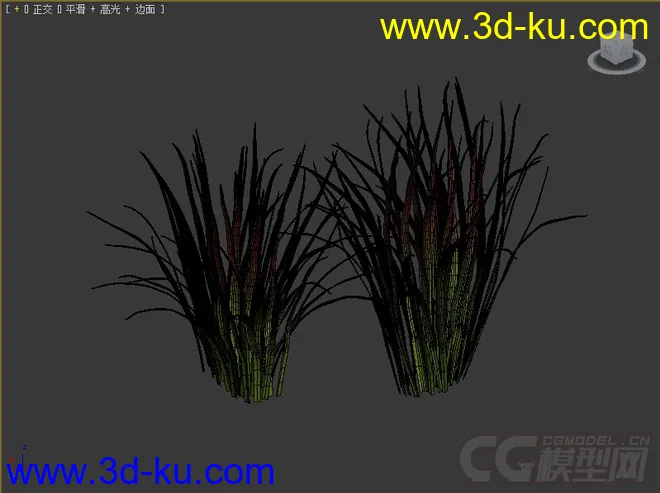 茅针，茅草，兰根模型的图片2