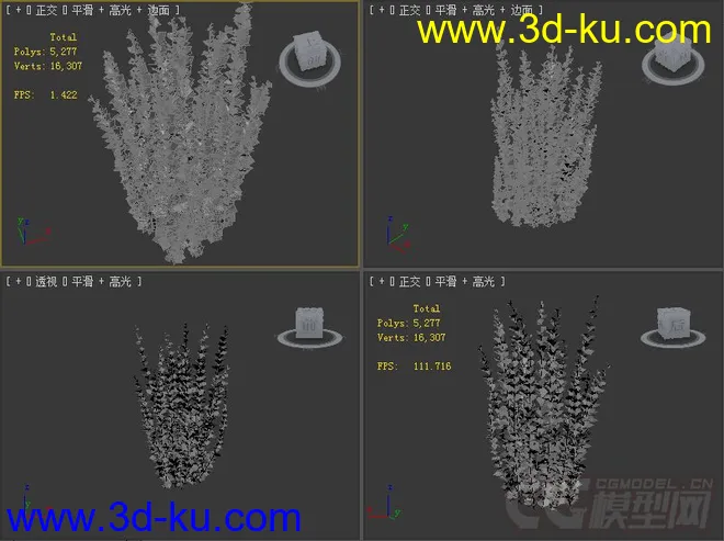 小檗属植物模型的图片2