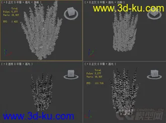 小檗属植物模型的图片