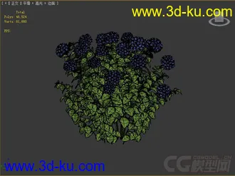 绣球花模型的图片
