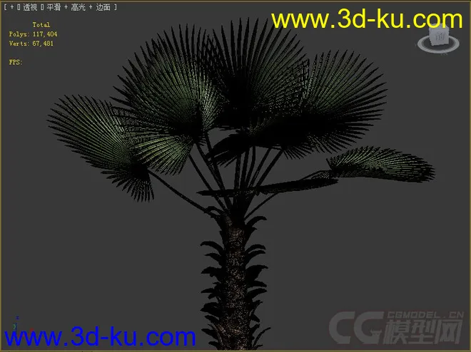 棕榈树模型的图片2