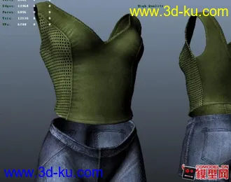 3D打印模型Cloth(紧身衣与牛仔库)的图片