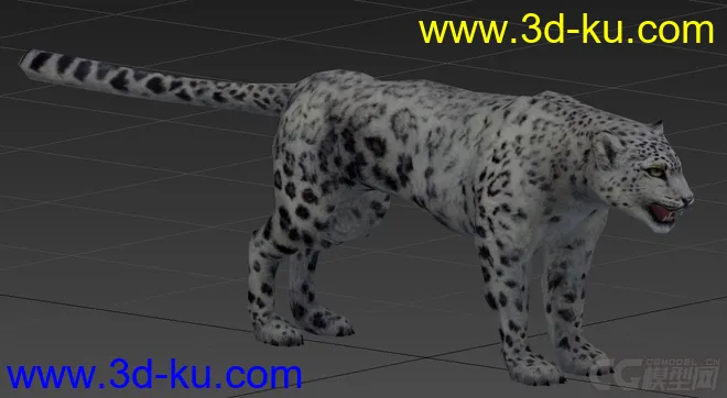 豹子模型的图片1