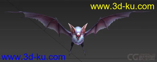 蝙蝠模型的图片1