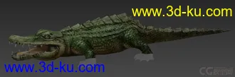3D打印模型鳄鱼~的图片