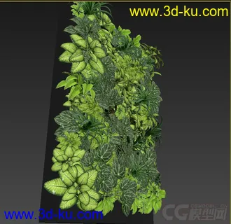 Fitostena 植物墙的模型的图片