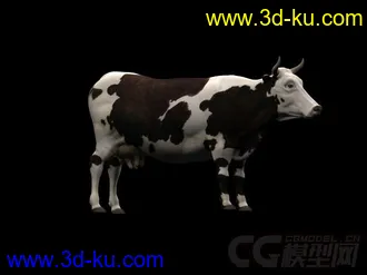 3D打印模型写实奶牛的图片