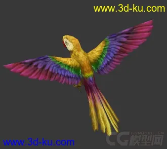 3D打印模型黄色鹦鹉一只的图片