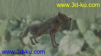 3D打印模型哂醚┤搜u作的毛髮狼，需搭配Yeti才可使用喔的图片