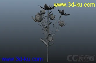 3D打印模型植物的图片