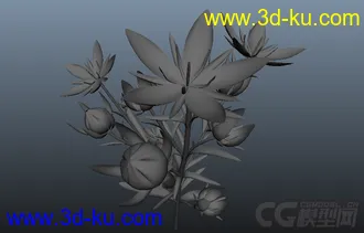 3D打印模型植物的图片